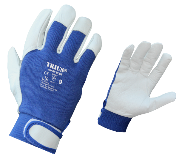 Image du gant MIAMI BLUE